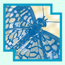 print work image