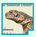 ss
