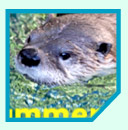 ss